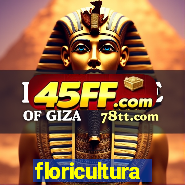 floricultura juazeiro bahia